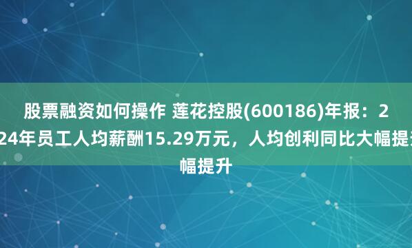 股票融资如何操作 莲花控股(600186)年报：2024年员工人均薪酬15.29万元，人均创利同比大幅提升
