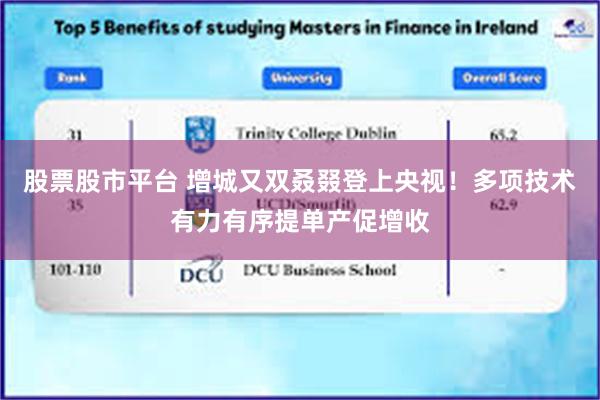 股票股市平台 增城又双叒叕登上央视！多项技术有力有序提单产促增收