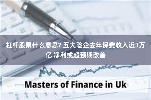 杠杆股票什么意思? 五大险企去年保费收入近3万亿 净利或超预期改善