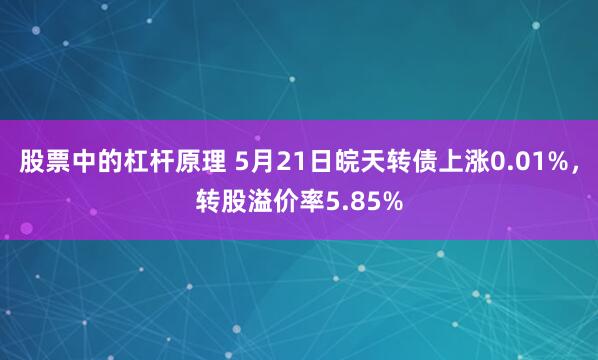 股票中的杠杆原理 5月21日皖天转债上涨0.01%，转股溢价率5.85%