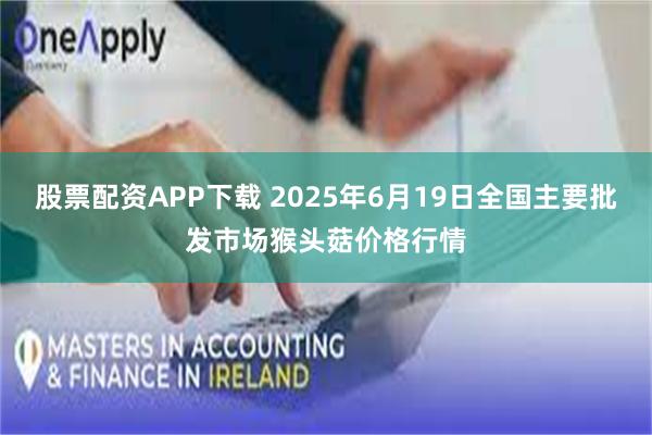 股票配资APP下载 2025年6月19日全国主要批发市场猴头菇价格行情