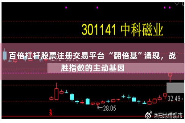 百倍杠杆股票注册交易平台 “翻倍基”涌现，战胜指数的主动基因
