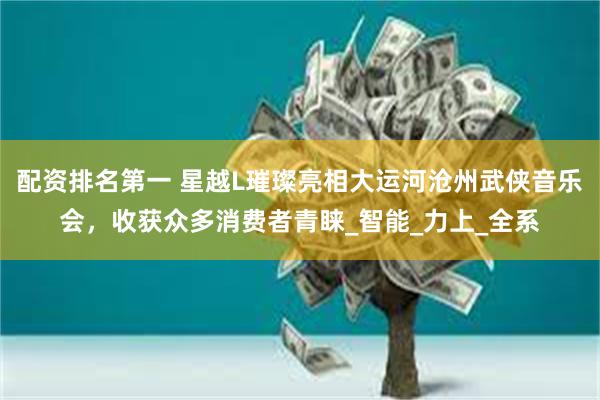 配资排名第一 星越L璀璨亮相大运河沧州武侠音乐会，收获众多消费者青睐_智能_力上_全系