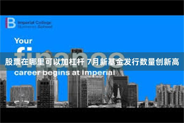 股票在哪里可以加杠杆 7月新基金发行数量创新高