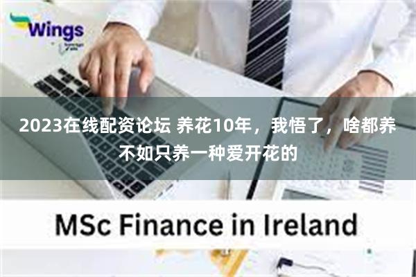 2023在线配资论坛 养花10年,我悟了,啥都养不如只养一种爱开花的