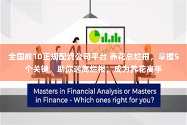 全国前10正规配资公司平台 养花总烂根，掌握5个关键，助你远离烂根，成为养花高手