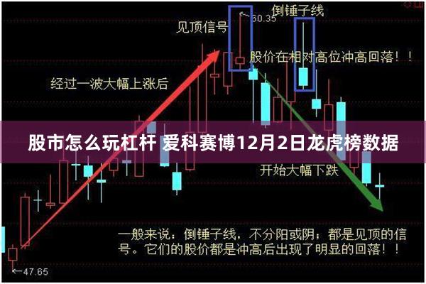 股市怎么玩杠杆 爱科赛博12月2日龙虎榜数据